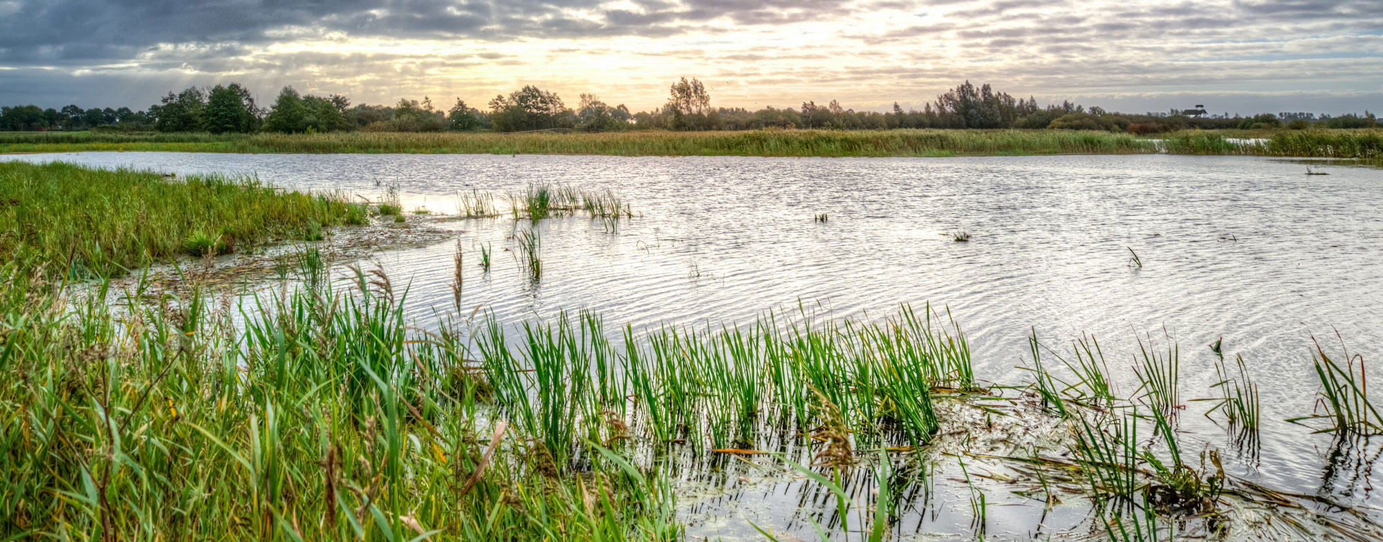 Norse Environmental Services - Professional Wetland Scientists, Certified Wetland Scientists, Certified Soil Scientists, Licensed Soil Evaluators, Foresters, Botanists, Registered Sanitarians and Licensed Construction Supervisors
